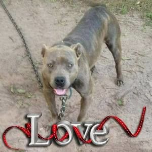 Meet your Posher, Stingy